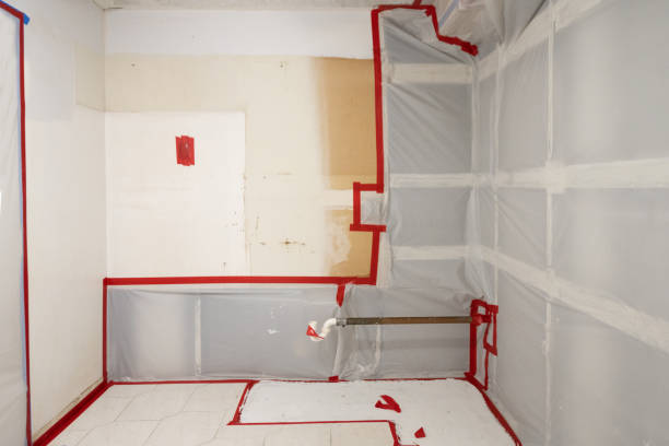 Best Post-Construction Mold Inspection  in West Conshohocken, PA