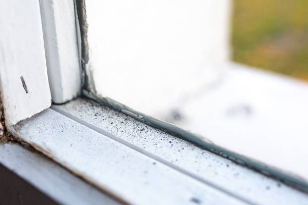 Best HVAC Mold Inspection and Cleaning  in West Conshohocken, PA
